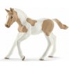 SCHLEICH Horse Club® 13886 Americký Paint Horse - hříbě