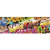 Dimex fototapeta Graffiti M-410 | 330 x 110 cm (Vliesová fototapeta | lepidlo zdarma)