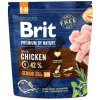 Brit Premium by Nature dog Senior S+ M 1kg