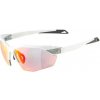 ALPINA TWIST SIX HR QV - Alpina Twist Six S HR QV okuliare White Matt
