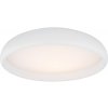 PREZENT 45137 TARI LED/22W,4000K,WHITE
