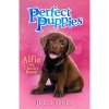 Scholastic Perfect Puppies 1: Alfie the Cheeky Puppy