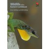 Wildlife of the Eastern Caribbean