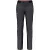 Dámske nohavice Salewa Pedroc 4 DST M Reg Pants 40