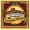 Ernie Ball 2012 Earthwood 12str.Medium