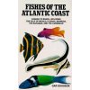 Fishes of the Atlantic Coast