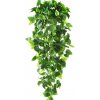 Dekoračná rastlina 80cm - brečtan