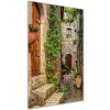 Vertikálny foto obraz sklenený Talianske uličky 50x100 cm