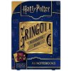 Harry Potter Set blokov A6 (Magical Locations)