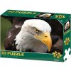 Lamps 3D puzzle Orol 100 ks