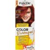 Schwarzkopf Palette Color Shampoo farba na vlasy Mahagónový 5-86 (217)