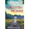 The Forgotten Promise - Paula Greenlees