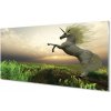 Nástenný panel Unicorn Golf 100x50 cm