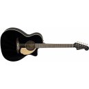 Fender Newporter Player