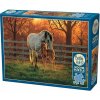 Cobble Hill Puzzle Ticho 500 dielikov