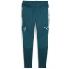 Puma Tréninkové Nohavice NEYMAR Creativity ocean velikost: M