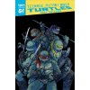 Teenage Mutant Ninja Turtles: Reborn, Vol. 1 - From The Ashes