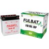 Fulbat FB10L-BP