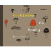 Rozhledna na houby - Bohumíra Peychlová