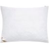 Livarno home Vankúš Polygiene® , 70 x 90 cm (100394419)