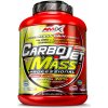 Amix Nutrition CarboJet Mass Professional 3000 g čokoláda