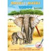 Omaľovanka A5 Akim Maľuj vodou - Safari