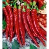 Paprika De Cayenna semená 0,3 g