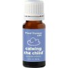 Plant Therapy KidSafe Calming the Child Upokojenie dieťaťa esenciálny olej 10 ml