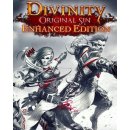 Divinity: Original Sin (Enhanced Edition)