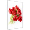 Vertikálny foto obraz sklo tvrdené Červené tulipány 50x100 cm