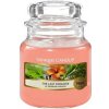 Yankee Candle The Last Paradise 104 g