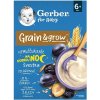 GERBER nemliečna kaša pšenično-ovsená slivka 200 g