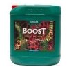 CANNA Boost Accelerator Objem 5L