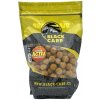 Black Carp Activ boilies Sladká kukurica 20 mm 1kg rozpustné