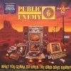 Public Enemy - What You Gonna Do When The Grid Goes Down (LP)