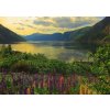 RAVENSBURGER Puzzle Fjord v Nórsku 1000 dielikov
