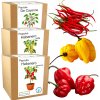 Mix sád na pestovanie čerstvých pálivých chilli papričiek