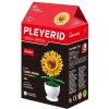 Sluban Flowers M38-B1073 Květiny s očima malé Displej 6 ks