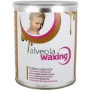 Alveola Waxing Depilatory Sugar Paste cukrová pasta s medom pre depiláciu Normal 1000 g