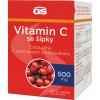 GS Vitamin C 500 se šípky 60 tabliet