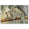 Vymalujsisam.sk Diamantovanie podľa čísiel - Biely tiger Veľkosť: 40x60cm, Rám: Bez rámu, iba zrolované plátno, Diamanty: Okrúhle