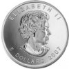Royal Canadian Mint strieborná minca minca Maple Leaf 2007 1 Oz