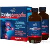 Adelle Davis CondroComplex lipozomalna kĺbová výživa 2x500 ml (1000 ml)
