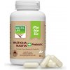 Chios Masticha + Prebiotic 160 kapsúl