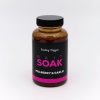 Robroj Bait Soak Mulberry & Garlic 250ml Robroj