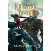 Krystal bouří (gamebook) - Rhianna Pratchett