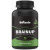 Botanic BrainUp - Lepšia koncentrácia, myslenie a pamäť