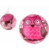 Teddies Míč nafouknutý sova vinyl 22cm