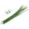 Véritable Lingot Čínska pažítka - BIO