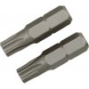 LUX-TOOLS Štandardný bit TX30 Classic, 2 ks
